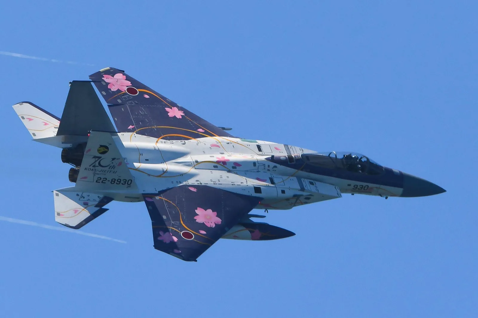 A Japan Air Self-Defense Force F-15J in a navy livery of cherry blossoms and gold scrollwork.
